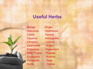 Useful Herbs

 Borage          Ginger
   Calendula     Horehound
   Catnip        Hyssop
   Cayenne       lemongrass
   Camphor       Licorice
   Chamomile      Mullein
   Echinacea      Peppermint
   Elder Thyme    Propolis
   Eucalyptus     Rosehip
   Fenugreek       Sage
   Garlic          Yarrow
 