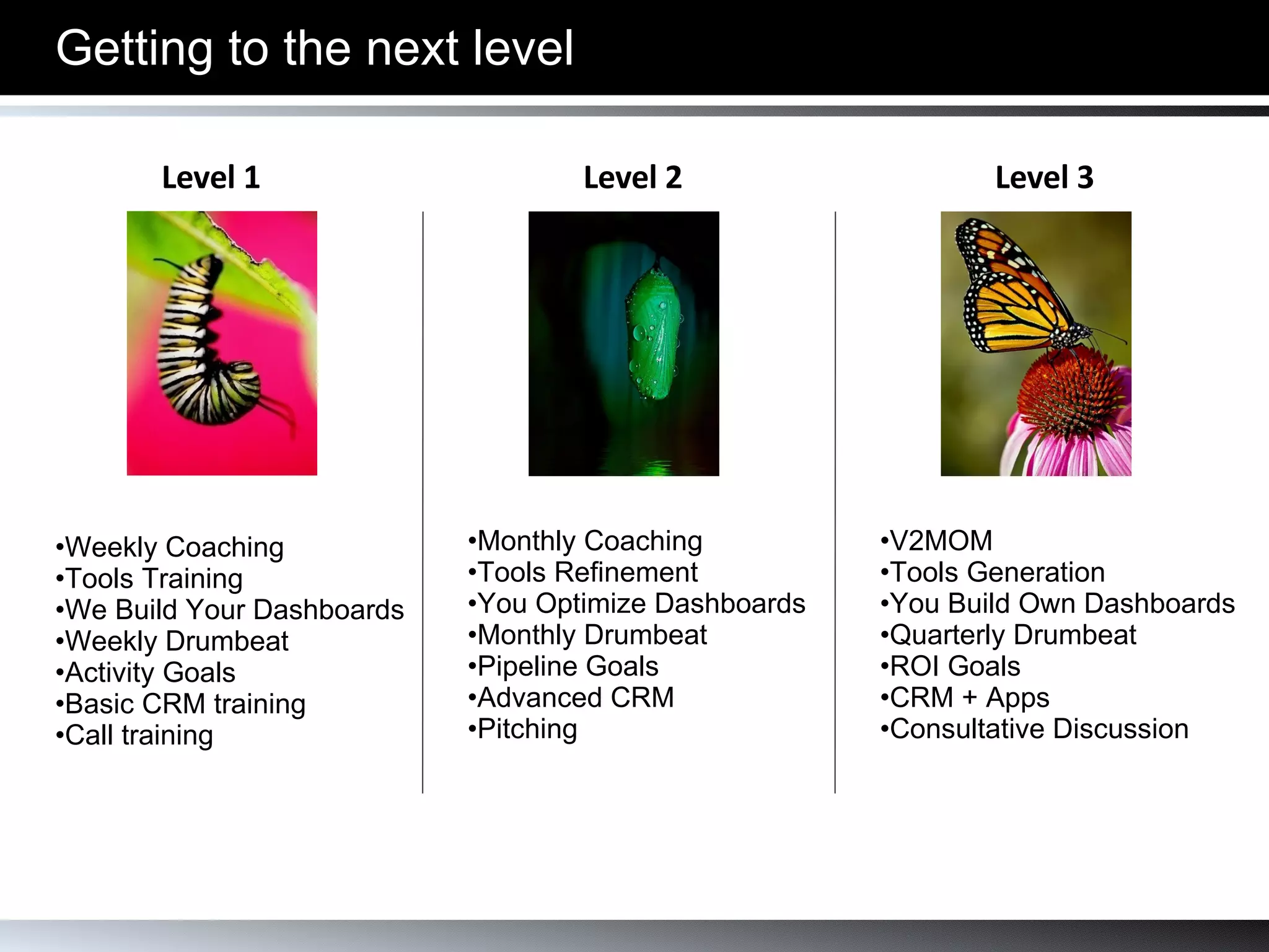 Getting to the next level Weekly Coaching Tools Training We Build Your Dashboards Weekly Drumbeat Activity Goals Basic CRM training Call training Monthly Coaching Tools Refinement You Optimize Dashboards Monthly Drumbeat Pipeline Goals Advanced CRM Pitching V2MOM Tools Generation You Build Own Dashboards Quarterly Drumbeat ROI Goals CRM + Apps Consultative Discussion Level 1 Level 2 Level 3 