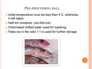 PRE-PROCESSING HALL
 Initial temperature must be less than 4 C, otherwise
it will reject.
 Half ton container. (ice-fish-ice)
 Chlorinated chilled water used for washing.
 Flake ice in the ratio 1:1 is used for further storage.
 