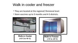 Walk in cooler and freezer
• They are located at the regional/ Divisional level.
• Store vaccines up to 3 months and 4-5 districts.
Walk-in Freezer
(-15o
to -25o
C)
Walk-in Cooler
(+2o
C to +8o
C)
 