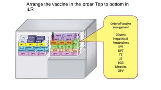 Arrange the vaccine In the order Top to bottom in
ILR
 