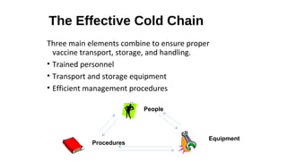 The Effective Cold Chain
Three main elements combine to ensure proper
vaccine transport, storage, and handling.
• Trained personnel
• Transport and storage equipment
• Efficient management procedures
Equipment
People
Procedures
 