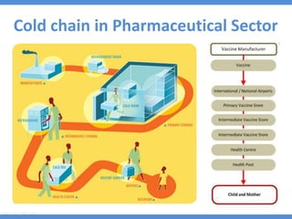cold chain logistics mangement in food processing inductry.pdf
