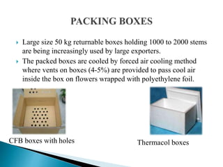 Cold Chain Management in Flowers | PPTX