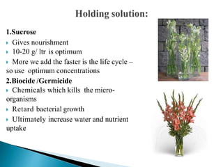 Cold Chain Management in Flowers | PPTX