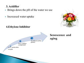 Cold Chain Management in Flowers | PPTX