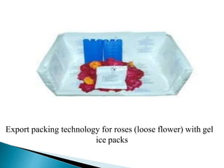 Cold Chain Management in Flowers | PPTX