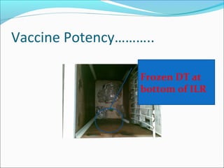 Vaccine Potency………..
Frozen DT at
bottom of ILR
 