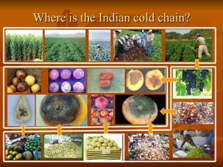 Where is the Indian cold chain? 