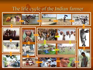 The life cycle of the Indian farmer 