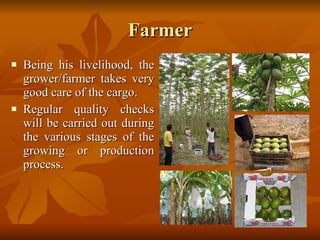 Farmer Being his livelihood, the grower/farmer takes very good care of the cargo. Regular quality checks will be carried out during the various stages of the growing or production process. 