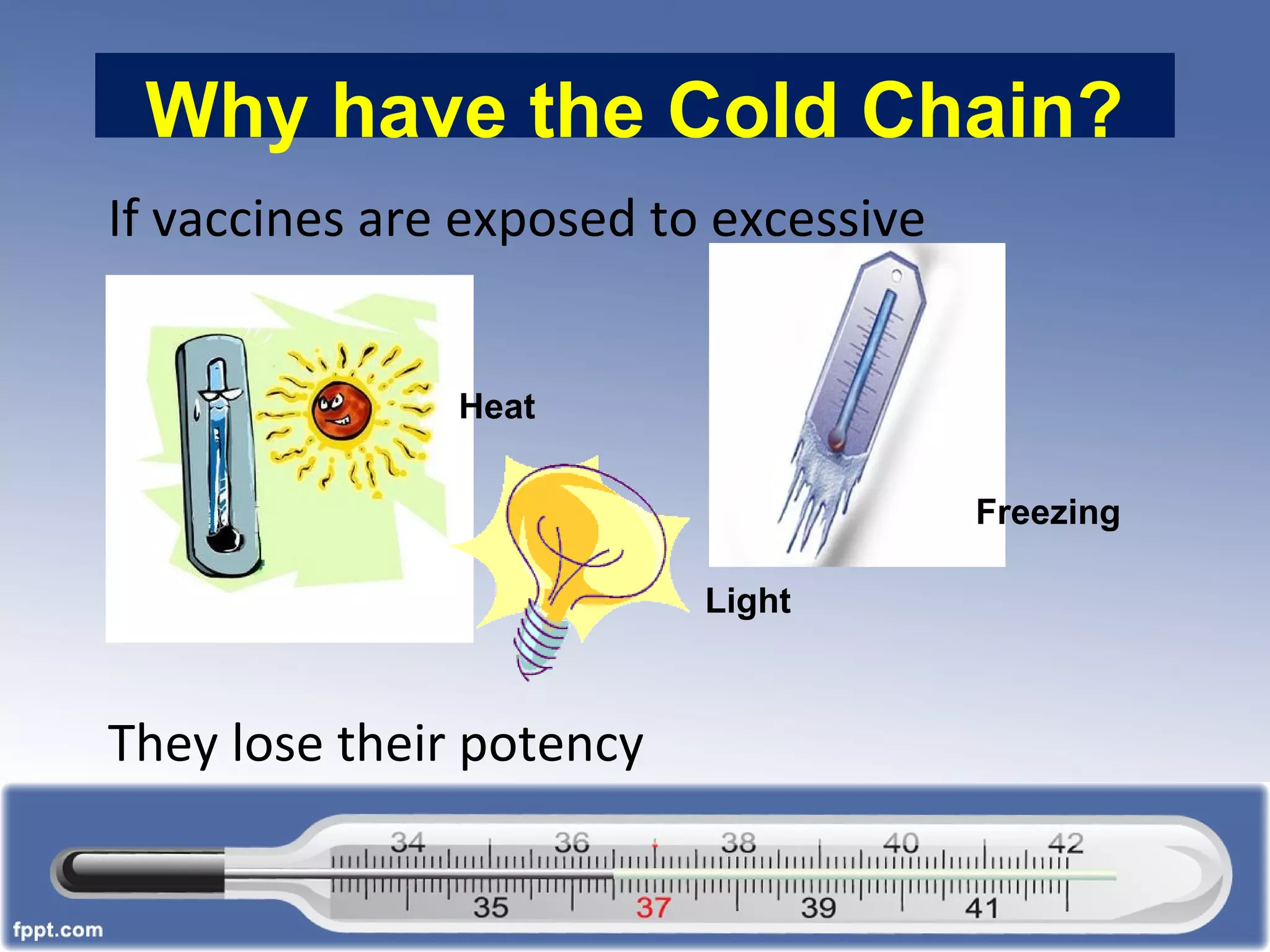 Why have the Cold Chain?
If vaccines are exposed to excessive
They lose their potency
Heat
Light
Freezing
 