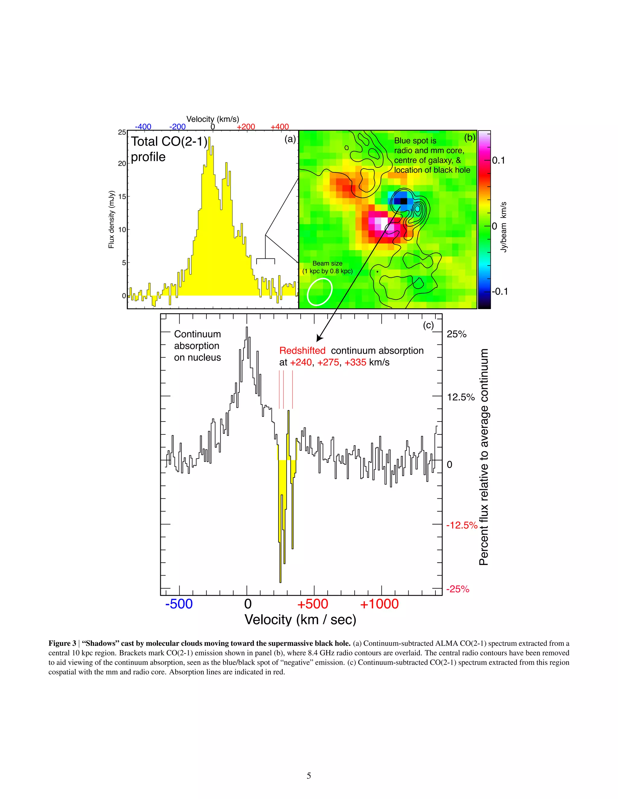 Velocity (km / sec)
0 +500 +1000-500
0
12.5%
25%
Percentfluxrelativetoaveragecontinuum
-12.5%
-25%
Blue spot is
radio and mm core,
centre of galaxy, &
location of black hole
Redshifted continuum absorption
at +240, +275, +335 km/s
Continuum
absorption
on nucleus
0
-0.1
0.1
Jy/beamkm/s
Beam size
(1 kpc by 0.8 kpc)
0 +200 +400-200-400
Velocity (km/s)
Total CO(2-1)
profile
(c)
(b)(a)
Figure 3 | “Shadows” cast by molecular clouds moving toward the supermassive black hole. (a) Continuum-subtracted ALMA CO(2-1) spectrum extracted from a
central 10 kpc region. Brackets mark CO(2-1) emission shown in panel (b), where 8.4 GHz radio contours are overlaid. The central radio contours have been removed
to aid viewing of the continuum absorption, seen as the blue/black spot of “negative” emission. (c) Continuum-subtracted CO(2-1) spectrum extracted from this region
cospatial with the mm and radio core. Absorption lines are indicated in red.
5
 