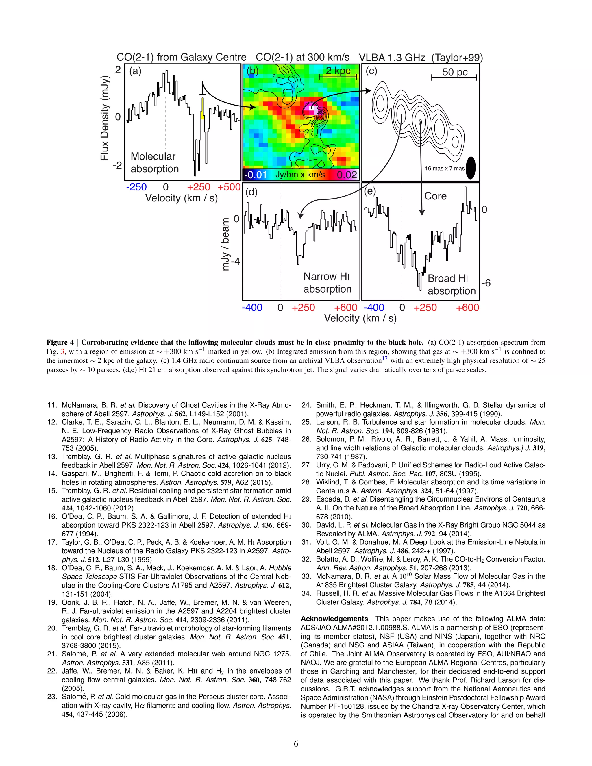 0
-4
mJy/beam
50 pc
VLBA 1.3 GHz (Taylor+99)
0
-6
0 +250 +6000-400
CO(2-1) at 300 km/s
-250 0 +250
Velocity (km / s)
0.02-0.01 Jy/bm x km/s
CO(2-1) from Galaxy Centre
Narrow HI
absorption
Broad HI
absorption
FluxDensity(mJy)
-2
0
2
+500
2 kpc
Core
0 +250 +6000-400
Velocity (km / s)
(a) (b) (c)
(d) (e)
Molecular
absorption 16 mas x 7 mas
Figure 4 | Corroborating evidence that the inﬂowing molecular clouds must be in close proximity to the black hole. (a) CO(2-1) absorption spectrum from
Fig. 3, with a region of emission at ∼ +300 km s−1 marked in yellow. (b) Integrated emission from this region, showing that gas at ∼ +300 km s−1 is conﬁned to
the innermost ∼ 2 kpc of the galaxy. (c) 1.4 GHz radio continuum source from an archival VLBA observation17 with an extremely high physical resolution of ∼ 25
parsecs by ∼ 10 parsecs. (d,e) HI 21 cm absorption observed against this synchrotron jet. The signal varies dramatically over tens of parsec scales.
11. McNamara, B. R. et al. Discovery of Ghost Cavities in the X-Ray Atmo-
sphere of Abell 2597. Astrophys. J. 562, L149-L152 (2001).
12. Clarke, T. E., Sarazin, C. L., Blanton, E. L., Neumann, D. M. & Kassim,
N. E. Low-Frequency Radio Observations of X-Ray Ghost Bubbles in
A2597: A History of Radio Activity in the Core. Astrophys. J. 625, 748-
753 (2005).
13. Tremblay, G. R. et al. Multiphase signatures of active galactic nucleus
feedback in Abell 2597. Mon. Not. R. Astron. Soc. 424, 1026-1041 (2012).
14. Gaspari, M., Brighenti, F. & Temi, P. Chaotic cold accretion on to black
holes in rotating atmospheres. Astron. Astrophys. 579, A62 (2015).
15. Tremblay, G. R. et al. Residual cooling and persistent star formation amid
active galactic nucleus feedback in Abell 2597. Mon. Not. R. Astron. Soc.
424, 1042-1060 (2012).
16. O’Dea, C. P., Baum, S. A. & Gallimore, J. F. Detection of extended HI
absorption toward PKS 2322-123 in Abell 2597. Astrophys. J. 436, 669-
677 (1994).
17. Taylor, G. B., O’Dea, C. P., Peck, A. B. & Koekemoer, A. M. HI Absorption
toward the Nucleus of the Radio Galaxy PKS 2322-123 in A2597. Astro-
phys. J. 512, L27-L30 (1999).
18. O’Dea, C. P., Baum, S. A., Mack, J., Koekemoer, A. M. & Laor, A. Hubble
Space Telescope STIS Far-Ultraviolet Observations of the Central Neb-
ulae in the Cooling-Core Clusters A1795 and A2597. Astrophys. J. 612,
131-151 (2004).
19. Oonk, J. B. R., Hatch, N. A., Jaffe, W., Bremer, M. N. & van Weeren,
R. J. Far-ultraviolet emission in the A2597 and A2204 brightest cluster
galaxies. Mon. Not. R. Astron. Soc. 414, 2309-2336 (2011).
20. Tremblay, G. R. et al. Far-ultraviolet morphology of star-forming ﬁlaments
in cool core brightest cluster galaxies. Mon. Not. R. Astron. Soc. 451,
3768-3800 (2015).
21. Salom´e, P. et al. A very extended molecular web around NGC 1275.
Astron. Astrophys. 531, A85 (2011).
22. Jaffe, W., Bremer, M. N. & Baker, K. HII and H2 in the envelopes of
cooling ﬂow central galaxies. Mon. Not. R. Astron. Soc. 360, 748-762
(2005).
23. Salom´e, P. et al. Cold molecular gas in the Perseus cluster core. Associ-
ation with X-ray cavity, Hα ﬁlaments and cooling ﬂow. Astron. Astrophys.
454, 437-445 (2006).
24. Smith, E. P., Heckman, T. M., & Illingworth, G. D. Stellar dynamics of
powerful radio galaxies. Astrophys. J. 356, 399-415 (1990).
25. Larson, R. B. Turbulence and star formation in molecular clouds. Mon.
Not. R. Astron. Soc. 194, 809-826 (1981).
26. Solomon, P. M., Rivolo, A. R., Barrett, J. & Yahil, A. Mass, luminosity,
and line width relations of Galactic molecular clouds. Astrophys.] J. 319,
730-741 (1987).
27. Urry, C. M. & Padovani, P. Uniﬁed Schemes for Radio-Loud Active Galac-
tic Nuclei. Publ. Astron. Soc. Pac. 107, 803U (1995).
28. Wiklind, T. & Combes, F. Molecular absorption and its time variations in
Centaurus A. Astron. Astrophys. 324, 51-64 (1997).
29. Espada, D. et al. Disentangling the Circumnuclear Environs of Centaurus
A. II. On the Nature of the Broad Absorption Line. Astrophys. J. 720, 666-
678 (2010).
30. David, L. P. et al. Molecular Gas in the X-Ray Bright Group NGC 5044 as
Revealed by ALMA. Astrophys. J. 792, 94 (2014).
31. Voit, G. M. & Donahue, M. A Deep Look at the Emission-Line Nebula in
Abell 2597. Astrophys. J. 486, 242-+ (1997).
32. Bolatto, A. D., Wolﬁre, M. & Leroy, A. K. The CO-to-H2 Conversion Factor.
Ann. Rev. Astron. Astrophys. 51, 207-268 (2013).
33. McNamara, B. R. et al. A 1010 Solar Mass Flow of Molecular Gas in the
A1835 Brightest Cluster Galaxy. Astrophys. J. 785, 44 (2014).
34. Russell, H. R. et al. Massive Molecular Gas Flows in the A1664 Brightest
Cluster Galaxy. Astrophys. J. 784, 78 (2014).
Acknowledgements This paper makes use of the following ALMA data:
ADS/JAO.ALMA#2012.1.00988.S. ALMA is a partnership of ESO (represent-
ing its member states), NSF (USA) and NINS (Japan), together with NRC
(Canada) and NSC and ASIAA (Taiwan), in cooperation with the Republic
of Chile. The Joint ALMA Observatory is operated by ESO, AUI/NRAO and
NAOJ. We are grateful to the European ALMA Regional Centres, particularly
those in Garching and Manchester, for their dedicated end-to-end support
of data associated with this paper. We thank Prof. Richard Larson for dis-
cussions. G.R.T. acknowledges support from the National Aeronautics and
Space Administration (NASA) through Einstein Postdoctoral Fellowship Award
Number PF-150128, issued by the Chandra X-ray Observatory Center, which
is operated by the Smithsonian Astrophysical Observatory for and on behalf
6
 