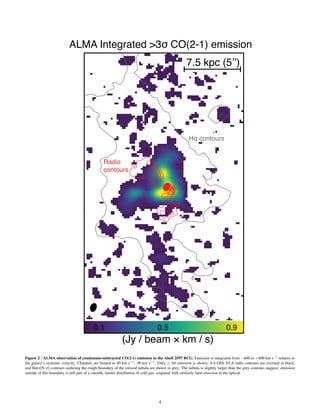 0.1 0.5 0.9
ALMA Integrated >3σ CO(2-1) emission
(Jy / beam × km / s)
7.5 kpc (5’’)
Hα contours
Radio
contours
Figure 2 | ALMA observation of continuum-subtracted CO(2-1) emission in the Abell 2597 BCG. Emission is integrated from −600 to +600 km s−1 relative to
the galaxy’s systemic velocity. Channels are binned to 40 km s−1. 40 km s−1. Only ≥ 3σ emission is shown. 8.4 GHz VLA radio contours are overlaid in black,
and Hα+[N II] contours outlining the rough boundary of the ionised nebula are shown in grey. The nebula is slightly larger than the grey contours suggest: emission
outside of this boundary is still part of a smooth, fainter distribution of cold gas, cospatial with similarly faint emission in the optical.
4
 