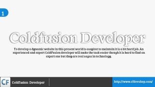 ColdFusion Developers & Programmers