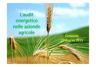 L’audit
energetico
nelle aziende
agricole

Grosseto
27 marzo 2013

 