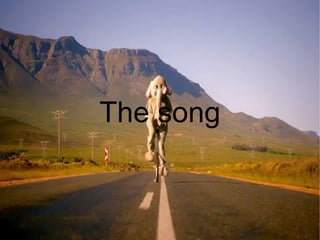 Coldplay have since accepted Harvey as the fifth member of the group.