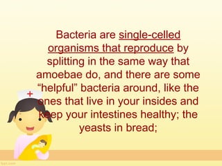 Bacteria are single-celled
  organisms that reproduce by
  splitting in the same way that
amoebae do, and there are some
“helpful” bacteria around, like the
ones that live in your insides and
keep your intestines healthy; the
          yeasts in bread;
 