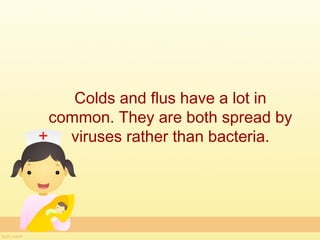 Colds and flus have a lot in
common. They are both spread by
  viruses rather than bacteria.
 