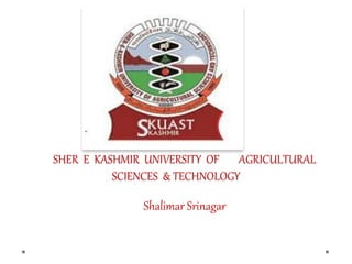 SHER E KASHMIR UNIVERSITY OF AGRICULTURAL
SCIENCES & TECHNOLOGY
Shalimar Srinagar
 