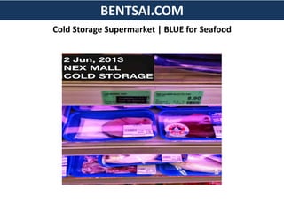 BENTSAI.COM
Cold Storage Supermarket | BLUE for Seafood
 