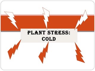 Plant StreSS:
Cold
 
