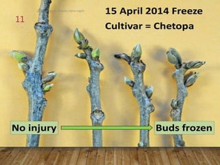 preparation by abdulla hama najeb
11
 