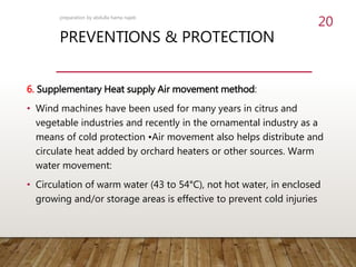 PREVENTIONS & PROTECTION
6. Supplementary Heat supply Air movement method:
• Wind machines have been used for many years in citrus and
vegetable industries and recently in the ornamental industry as a
means of cold protection •Air movement also helps distribute and
circulate heat added by orchard heaters or other sources. Warm
water movement:
• Circulation of warm water (43 to 54°C), not hot water, in enclosed
growing and/or storage areas is effective to prevent cold injuries
preparation by abdulla hama najeb
20
 