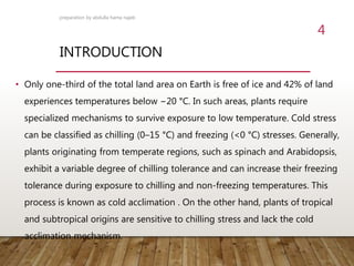 INTRODUCTION
• Only one-third of the total land area on Earth is free of ice and 42% of land
experiences temperatures below −20 °C. In such areas, plants require
specialized mechanisms to survive exposure to low temperature. Cold stress
can be classified as chilling (0–15 °C) and freezing (<0 °C) stresses. Generally,
plants originating from temperate regions, such as spinach and Arabidopsis,
exhibit a variable degree of chilling tolerance and can increase their freezing
tolerance during exposure to chilling and non-freezing temperatures. This
process is known as cold acclimation . On the other hand, plants of tropical
and subtropical origins are sensitive to chilling stress and lack the cold
acclimation mechanism.
preparation by abdulla hama najeb
4
 