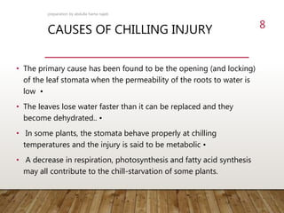 CAUSES OF CHILLING INJURY
• The primary cause has been found to be the opening (and locking)
of the leaf stomata when the permeability of the roots to water is
low •
• The leaves lose water faster than it can be replaced and they
become dehydrated.. •
• In some plants, the stomata behave properly at chilling
temperatures and the injury is said to be metabolic •
• A decrease in respiration, photosynthesis and fatty acid synthesis
may all contribute to the chill-starvation of some plants.
preparation by abdulla hama najeb
8
 