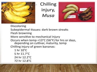 preparation by abdulla hama najeb
9
 