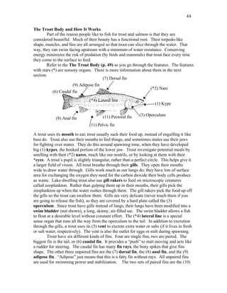 44

The Trout Body and How It Works
        Part of the reason people like to fish for trout and salmon is that they are
considered beautiful. Much of their beauty has a functional root. Their torpedo-like
shape, muscles, and fins are all arranged so that trout can slice through the water. That
way, they can swim facing upstream with a minimum of water resistance. Conserving
energy minimizes the risk of predation (by birds and mammals) that trout face every time
they come to the surface to feed.
        Refer to the The Trout Body (p. 49) as you go through the features. The features
with stars (*) are sensory organs. There is more information about them in the next
section.
                                         (7) Dorsal fin
                        (9) Adipose fin
                                                                     (*2) Nare
            (6) Caudal fin
                                  (*4) Lateral line
                                                                           (1) Kype


                                          (11) Pectoral fin      (3) Operculum
              (8) Anal fin
                                  (11) Pelvic fin

A trout uses its mouth to eat; trout usually suck their food up, instead of engulfing it like
bass do. Trout also use their mouths to feel things, and sometimes males use their jaws
for fighting over mates. They do this around spawning time, when they have developed
big (1) kypes, the hooked portion of the lower jaw. Trout investigate potential meals by
smelling with their (*2) nares, much like our nostrils, or by looking at them with their
*eyes. A trout’s pupil is slightly triangular, rather than a perfect circle. This helps give it
a larger field of vision. All trout breathe through their gills. They open their mouths
wide to draw water through. Gills work much as our lungs do; they have lots of surface
area for exchanging the oxygen they need for the carbon dioxide their body cells produce
as waste. Lake-dwelling trout also use gill rakers to feed on microscopic creatures
called zooplankton. Rather than gulping them up in their mouths, their gills pick the
zooplankton up when the water rushes through them. The gill rakers pick the food up off
the gills so the trout can swallow them. Gills are very delicate (never touch them if you
are going to release the fish), so they are covered by a hard plate called the (3)
operculum. Since trout have gills instead of lungs, their lungs have been modified into a
swim bladder (not shown), a long, skinny, air-filled sac. The swim bladder allows a fish
to float at a desirable level without constant effort. The (*4) lateral line is a special
sense organ that runs all the way from the operculum to the tail. In addition to excretion
through the gills, a trout uses its (5) vent to excrete extra water or salts (if it lives in fresh
or salt water, respectively). The vent is also the outlet for eggs or milt during spawning.
         Trout have six different kinds of fins. Four are single fins, two are paired. The
biggest fin is the tail, or (6) caudal fin. It provides a “push” to start moving and acts like
a rudder for steering. The caudal fin has many fin rays, the bony spikes that give fins
shape. The other three unpaired fins are the (7) dorsal fin, the (8) anal fin, and the (9)
adipose fin. “Adipose” just means that this is a fatty fin without rays. All unpaired fins
are used for swimming power and stabilization. The two sets of paired fins are the (10)
 