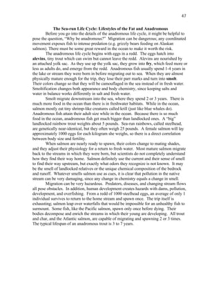 47

             The Sea-run Life Cycle: Lifestyles of the Fat and Anadromous
        Before you go into the details of the anadromous life cycle, it might be helpful to
pose the question, “Why be anadromous?” Migration can be dangerous; any coordinated
movement exposes fish to intense predation (e.g. grizzly bears feeding on Alaskan
salmon). There must be some great reward in the ocean to make it worth the risk.
        The anadromous life cycle begins with eggs in a redd. The eggs hatch into
alevins, tiny trout which can swim but cannot leave the redd. Alevins are nourished by
an attached yolk sac. As they use up the yolk sac, they grow into fry, which feed more or
less as adults do, and emerge from the redd. Anadromous fish usually spend 1-4 years in
the lake or stream they were born in before migrating out to sea. When they are almost
physically mature enough for the trip, they lose their parr marks and turn into smolt.
Their colors change so that they will be camouflaged in the sea instead of in fresh water.
Smoltification changes both appearance and body chemistry, since keeping salts and
water in balance works differently in salt and fresh water.
        Smolt migrate downstream into the sea, where they spend 2 or 3 years. There is
much more food in the ocean than there is in freshwater habitats. While in the ocean,
salmon mostly eat tiny shrimp-like creatures called krill (just like blue whales do).
Anadromous fish attain their adult size while in the ocean. Because there is so much
food in the ocean, anadromous fish get much bigger than landlocked ones. A “big”
landlocked rainbow trout weights about 5 pounds. Sea-run rainbows, called steelhead,
are genetically near-identical, but they often weigh 25 pounds. A female salmon will lay
approximately 1000 eggs for each kilogram she weighs, so there is a direct correlation
between body size and fertility.
        When salmon are nearly ready to spawn, their colors change to mating shades,
and they adjust their physiology for a return to fresh water. Most mature salmon migrate
back to the streams in which they were born, but scientists do not completely understand
how they find their way home. Salmon definitely use the current and their sense of smell
to find their way upstream, but exactly what odors they recognize is not known. It may
be the smell of landlocked relatives or the unique chemical composition of the bedrock
and runoff. Whatever smells salmon use as cues, it is clear that pollution in the native
stream can be very damaging, since any change in chemistry equals a change in smell.
        Migration can be very hazardous. Predators, diseases, and changing stream flows
all pose obstacles. In addition, human development creates hazards with dams, pollution,
development, and overfishing. From a redd of 1000 steelhead eggs, an average of only 1
individual survives to return to the home stream and spawn once. The trip itself is
exhausting; salmon leap over waterfalls that would be impossible for an unhealthy fish to
surmount. Some fish, like the Pacific salmon, spawn only once before dying. Their
bodies decompose and enrich the streams in which their young are developing. All trout
and char, and the Atlantic salmon, are capable of migrating and spawning 2 or 3 times.
The typical lifespan of an anadromous trout is 3 to 7 years.
 