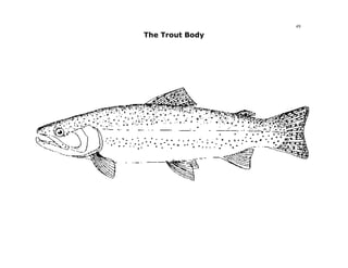49

The Trout Body
 