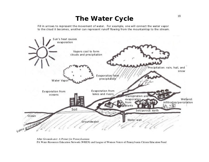 Wiring, Diagram and Flowchart: Watershed Diagram Worksheet