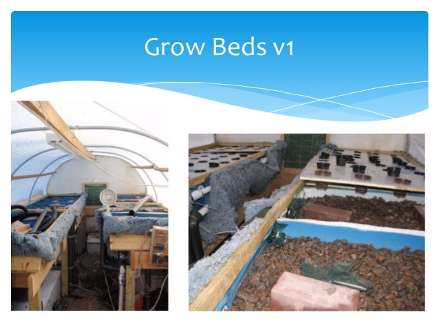 algae treatment in aquaponics