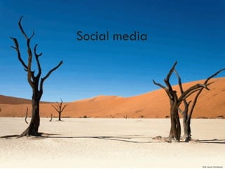 Photo  Source: Chris Bernard 