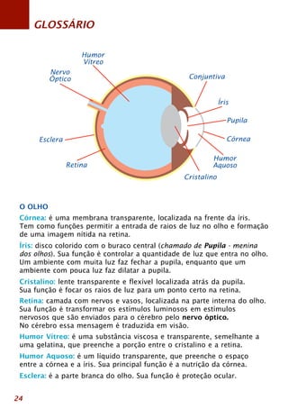 GLOSSÁRIO 
O OLHO 
Nervo 
Óptico 
Humor 
Vítreo 
Conjuntiva 
Íris 
Pupila 
Córnea 
Humor 
Aquoso 
Cristalino 
Retina 
Esclera 
Córnea: é uma membrana transparente, localizada na frente da íris. 
Tem como funções permitir a entrada de raios de luz no olho e formação 
de uma imagem nítida na retina. 
Íris: disco colorido com o buraco central (chamado de Pupila - menina 
dos olhos). Sua função é controlar a quantidade de luz que entra no olho. 
Um ambiente com muita luz faz fechar a pupila, enquanto que um 
ambiente com pouca luz faz dilatar a pupila. 
Cristalino: lente transparente e flexível localizada atrás da pupila. 
Sua função é focar os raios de luz para um ponto certo na retina. 
Retina: camada com nervos e vasos, localizada na parte interna do olho. 
Sua função é transformar os estímulos luminosos em estímulos 
nervosos que são enviados para o cérebro pelo nervo óptico. 
No cérebro essa mensagem é traduzida em visão. 
Humor Vítreo: é uma substância viscosa e transparente, semelhante a 
uma gelatina, que preenche a porção entre o cristalino e a retina. 
Humor Aquoso: é um líquido transparente, que preenche o espaço 
entre a córnea e a íris. Sua principal função é a nutrição da córnea. 
Esclera: é a parte branca do olho. Sua função é proteção ocular. 
24 
 