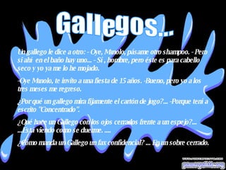 Un gallego le dice a otro: - Oye, Manolo, pásame otro shampoo. - Pero si ahí en el baño hay uno... - Sí, hombre, pero éste es para cabello seco y yo ya me lo he mojado.  -Oye Manolo, te invito a una fiesta de 15 años. -Bueno, pero yo a los tres meses me regreso.  ¿Por qué un gallego mira fijamente el cartón de jugo?... -Porque tenía escrito "Concentrado". ¿Qué hace un Gallego con los ojos cerrados frente a un espejo?... ...Está viendo como se duerme. .... ¿Cómo manda un Gallego un fax confidencial? ... En un sobre cerrado.  Gallegos... 