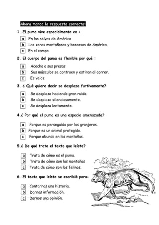 Ahora marca la respuesta correcta:
1. El puma vive especialmente en :
a En las selvas de América
b Las zonas montañosas y boscosas de América.
c En el campo.
2. El cuerpo del puma es flexible por qué :
a Acecha a sus presas
b Sus músculos se contraen y estiran al correr.
c Es veloz
3. ¿ Qué quiere decir se desplaza furtivamente?
a Se desplaza haciendo gran ruido.
b Se desplaza silenciosamente.
c Se desplaza lentamente.
4.¿ Por qué el puma es una especie amenazada?
a Porque es perseguida por los granjeros.
b Porque es un animal protegido.
c Porque abunda en las montañas.
5.¿ De qué trata el texto que leíste?
a Trata de cómo es el puma.
b Trata de cómo son las montañas
c Trata de cómo son los felinos.
6. El texto que leíste se escribió para:
a Contarnos una historia.
b Darnos información.
c Darnos una opinión.
 