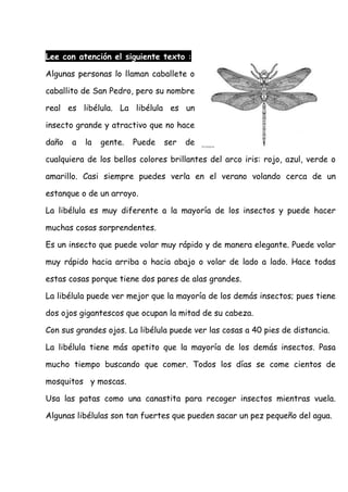 Lee con atención el siguiente texto :
Algunas personas lo llaman caballete o
caballito de San Pedro, pero su nombre
real es libélula. La libélula es un
insecto grande y atractivo que no hace
daño a la gente. Puede ser de
cualquiera de los bellos colores brillantes del arco iris: rojo, azul, verde o
amarillo. Casi siempre puedes verla en el verano volando cerca de un
estanque o de un arroyo.
La libélula es muy diferente a la mayoría de los insectos y puede hacer
muchas cosas sorprendentes.
Es un insecto que puede volar muy rápido y de manera elegante. Puede volar
muy rápido hacia arriba o hacia abajo o volar de lado a lado. Hace todas
estas cosas porque tiene dos pares de alas grandes.
La libélula puede ver mejor que la mayoría de los demás insectos; pues tiene
dos ojos gigantescos que ocupan la mitad de su cabeza.
Con sus grandes ojos. La libélula puede ver las cosas a 40 pies de distancia.
La libélula tiene más apetito que la mayoría de los demás insectos. Pasa
mucho tiempo buscando que comer. Todos los días se come cientos de
mosquitos y moscas.
Usa las patas como una canastita para recoger insectos mientras vuela.
Algunas libélulas son tan fuertes que pueden sacar un pez pequeño del agua.
 