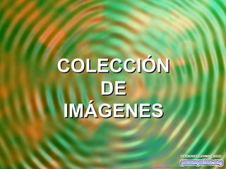 COLECCIÓN DE IMÁGENES 