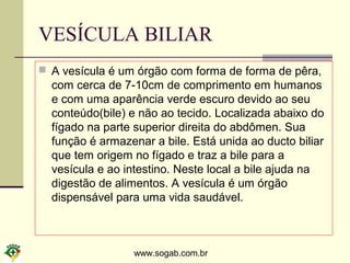 www.sogab.com.br
VESÍCULA BILIAR
 A vesícula é um órgão com forma de forma de pêra,
com cerca de 7-10cm de comprimento em humanos
e com uma aparência verde escuro devido ao seu
conteúdo(bile) e não ao tecido. Localizada abaixo do
fígado na parte superior direita do abdômen. Sua
função é armazenar a bile. Está unida ao ducto biliar
que tem origem no fígado e traz a bile para a
vesícula e ao intestino. Neste local a bile ajuda na
digestão de alimentos. A vesícula é um órgão
dispensável para uma vida saudável.
 