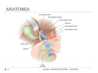 ANATOMIA
23/01/2015LACAD - COLECISTECTOMIA3
 