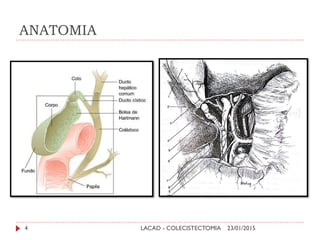 ANATOMIA
23/01/2015LACAD - COLECISTECTOMIA4
 