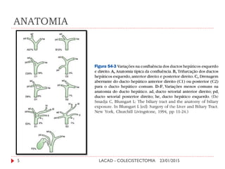 ANATOMIA
23/01/2015LACAD - COLECISTECTOMIA5
 