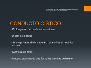 CONDUCTO CISTICO
 Prolongación del cuello de la vesícula
 2-5cm de longitud
 Se dirige hacia abajo y adentro para unirse al hepatico
común
 Diámetro de 4mm
 Mucosa espiralizada que forma las válvulas de Heister
Anatomía de las Vías Biliares Extrahepáticas, Bouchet Y,
Passagia GJ, Lopez JF, EMC 40-900
 