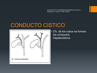 Anatomía de las Vías Biliares Extrahepáticas, Bouchet Y,
Passagia GJ, Lopez JF, EMC 40-900
CONDUCTO CISTICO
 2% de los casos se forman
los conductos
hepatocisticos
 