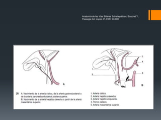 Anatomía de las Vías Biliares Extrahepáticas, Bouchet Y,
Passagia GJ, Lopez JF, EMC 40-900
 